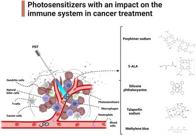 The impact of photodynamic therapy on immune system in cancer – an update